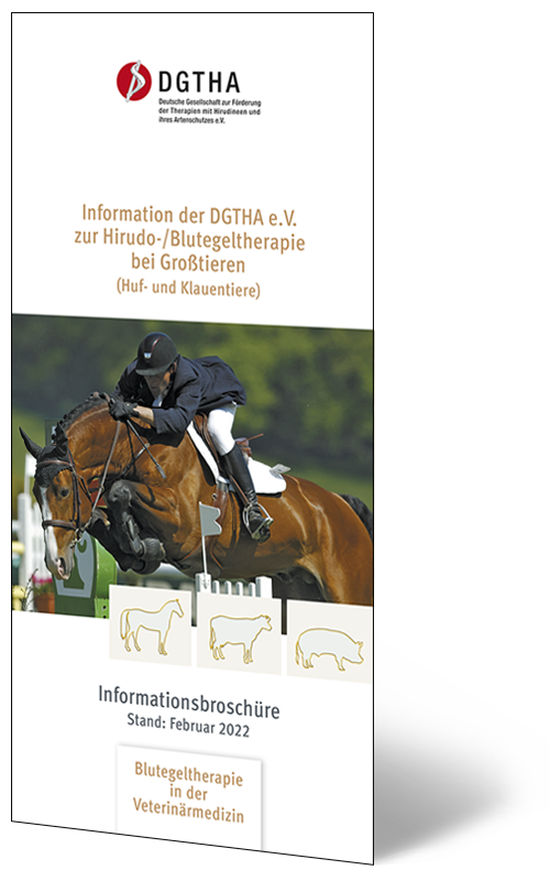 Titelseite Infoprospekt DGTHA