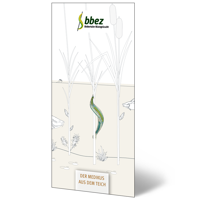 Titelseite Infoprospekt